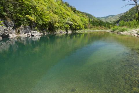 【CAS冷凍】スイカの香りと美味しさを閉じ込めた清流・高津川の天然鮎200g×3袋(約600g)【配送不可地域：離島】
