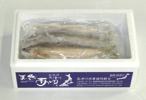 【天然もの】清流・高津川上流で捕れた天然あゆ(冷凍500g・5～10尾程度)【配送不可地域：離島】