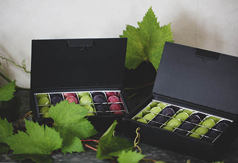 『ぶどうの宝石箱A』(2品種)【2024年9月より順次発送/ふるさと納税限定/数量限定】【配送不可地域：離島】