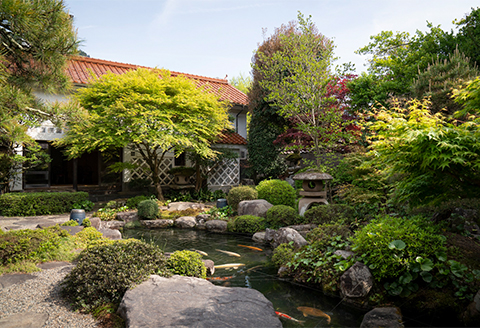 【体験チケット】美しい庭園を眺めながらお抹茶を楽しむペアプラン