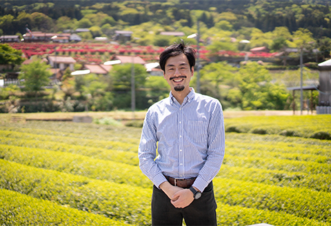 特産の「まめ茶」と緑茶葉からつくる「つわ乃紅茶」「翠香」(特上煎茶) のセット