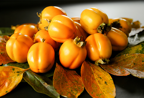 【発送月固定定期便】フルーツ定期便A 旬の美味しい果物を毎月1種全4回【配送不可地域：離島】