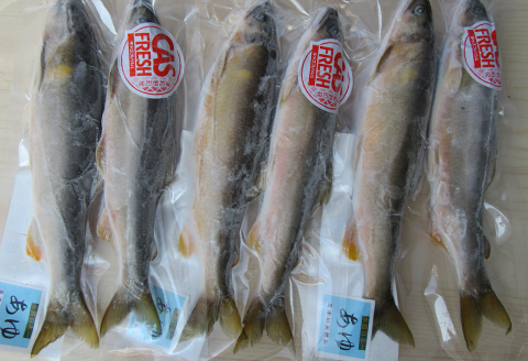 【CAS冷凍】スイカの香りと美味しさを閉じ込めた清流・高津川の天然鮎200g×3袋(約600g)【配送不可地域：離島】
