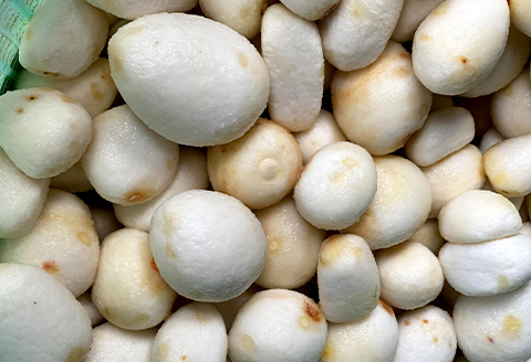 ねっとりと濃い味わいの里芋〈皮むき〉400g×3パック【配送不可地域：離島】