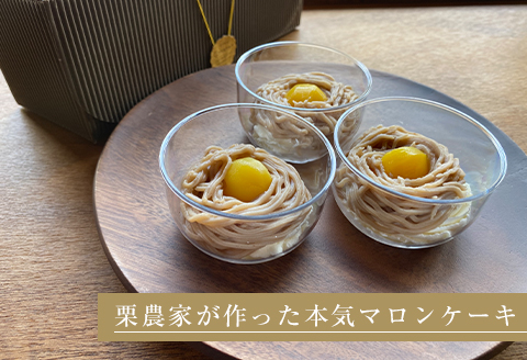 【冷凍でのお届け】天然栗をふんだんに使った「モンブラン」(3個セット)【配送不可地域：離島】