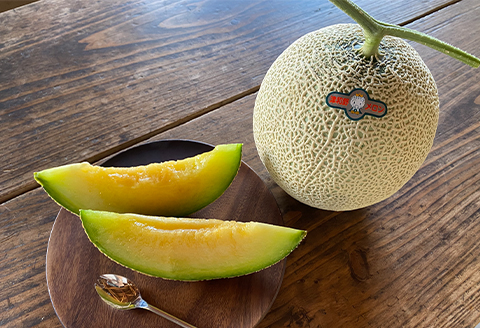 【ふるさと納税限定】メロン食べ放題ペアチケット〈2026年8～9月〉【配送不可地域：離島】