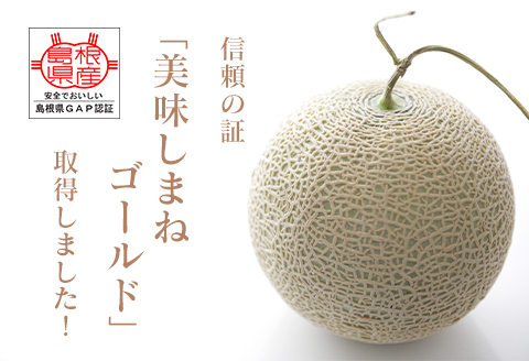 メロンパークのメロン【2026年9月より順次発送・2Lサイズ2玉】