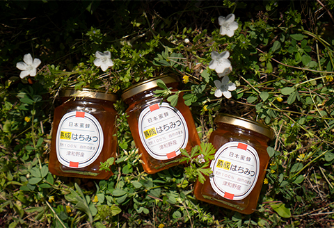 【希少品】自然のまま2年熟成させた100%天然の生はちみつ　160g×3個