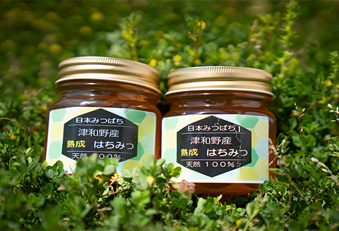 【希少品】自然のまま2年熟成させた100%天然の生はちみつ　300g×2個