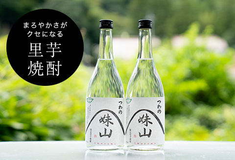 特産のとろりとしてねばりけのある里芋でつくった里芋焼酎【大(720ml)×2本】