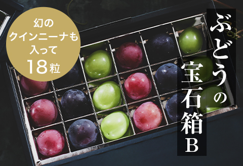 『ぶどうの宝石箱B』(3品種)【2026年9月より順次発送/ふるさと納税限定/数量限定】【配送不可地域：離島】