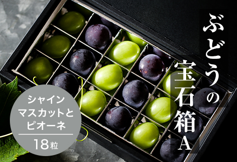 『ぶどうの宝石箱A』(2品種)【2024年9月より順次発送/ふるさと納税限定/数量限定】【配送不可地域：離島】