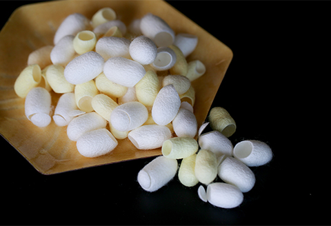 【ふるさと納税限定】まゆ玉(切り繭)100個セット