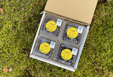 【2026年7月発送】朝どれ「生ブルーベリー」詰め合わせ〈1kg〉【栽培期間中農薬・化学肥料未使用】【配送不可地域：離島】