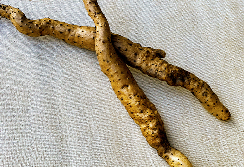 【栽培期間中、農薬・化学肥料不使用】自然薯(400g[1～2本])【配送不可地域：離島】