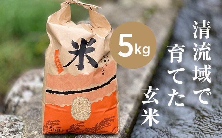 山間の清流を引き込んだ田んぼで作った「きぬむすめ玄米」5kg(令和7年)