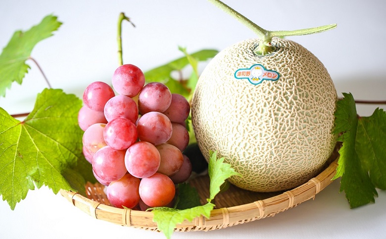メロン2L1玉クインニーナ1房セット【2026年9月より順次発送】