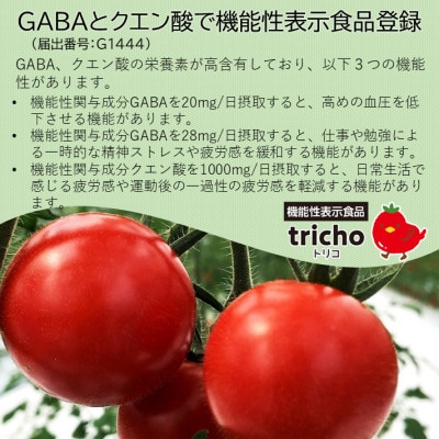 高糖度フルーツトマト「tricho(トリコ)」120g×6パックセット【配送不可地域：離島】