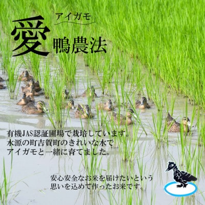 【有機米】令和7年産　吉賀町産つや姫「鴨ん米米」　精米5kg