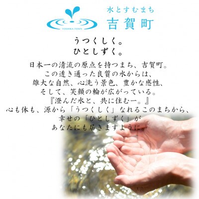 【返礼品なし】島根県吉賀町へ応援寄附　寄付のみ　吉賀町応援(3,000円)