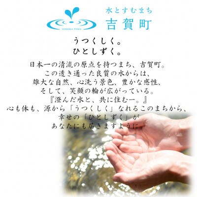 【返礼品なし】島根県吉賀町へ応援寄附　寄付のみ　吉賀町応援(10,000円)