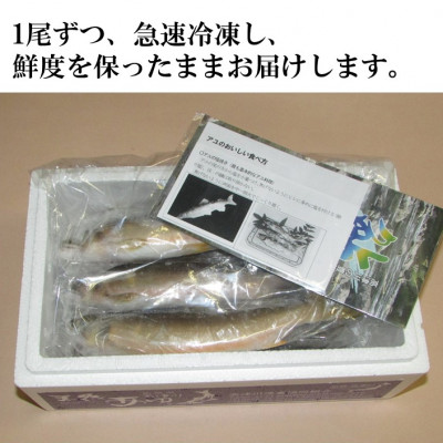 高津川天然あゆ冷凍　500g(吉賀町)【配送不可地域：離島】