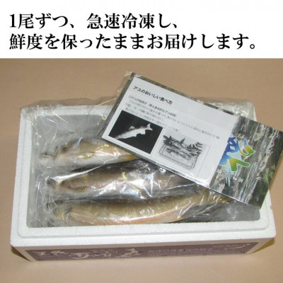 高津川天然あゆ冷凍　1200g(吉賀町)【配送不可地域：離島】