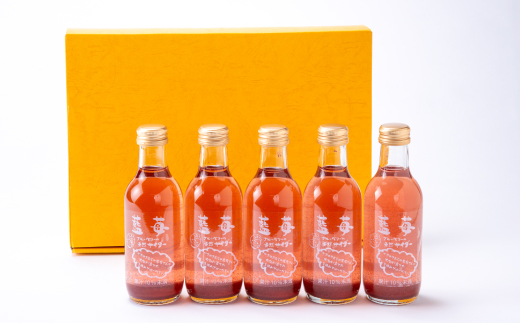 ブルーベリーサイダー　5本セット