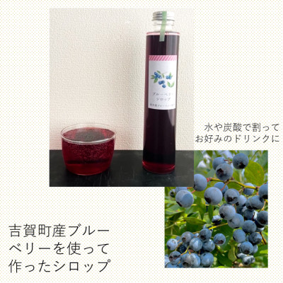 ブルーベリーシロップとパンケーキミックス4つ(プレーン2つ、野菜入り2つ)セット