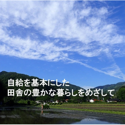 【栽培期間中化学肥料・化学農薬不使用】令和7年産R1米コシヒカリ10kg(玄米)