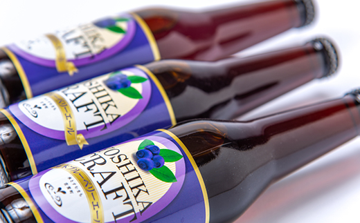 かきのきクラフト　柿木ブルーベリーエール3本セット【配送不可地域：離島】