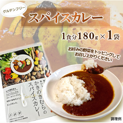 スパイスカレー　レトルト　180g×1袋