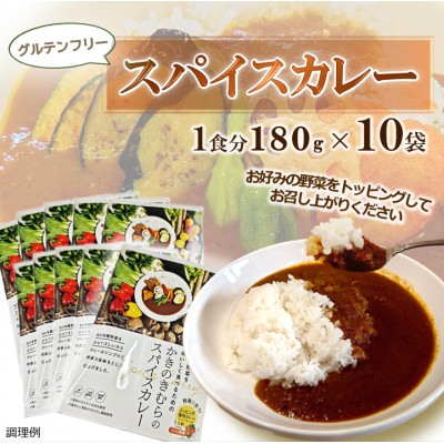 スパイスカレー　レトルト　180g×10袋