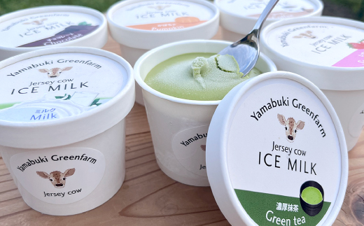 ジャージー牛の生乳を使用したアイス6個セット(ミルク・チョコ・コーヒー・いちご・抹茶・かぼちゃ)【配送不可地域：離島】