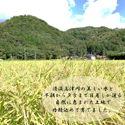 令和7年産　吉賀町広石産コシヒカリ　清流高津川のお米　精米10kg