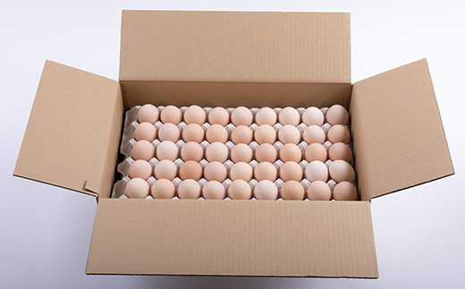 【毎月定期便】新鮮たまごMサイズ80個+割れ補償10個 全3回【配送不可地域：離島】