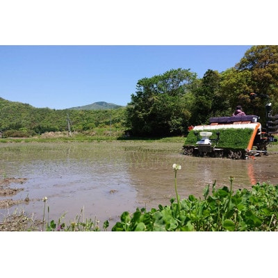 【令和7年10月中旬より順次発送】令和7年産コシヒカリ精米10kg(5kg×2袋　吉賀町産)