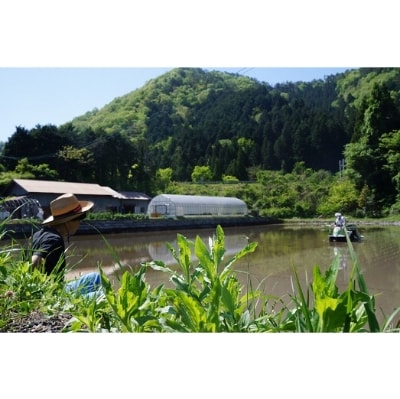 かきもち 6袋セット