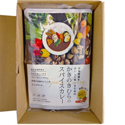スパイスカレー　レトルト　180g×1袋