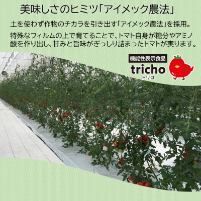 高糖度フルーツトマト「tricho(トリコ)」120g×6パックセット【配送不可地域：離島】