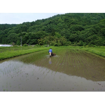 【令和7年産】栽培期間中、農薬・化学肥料不使用　吉賀町産つや姫　玄米5kg