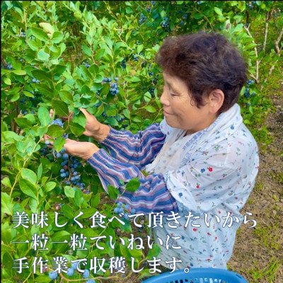 栽培期間中農薬・化学肥料不使用　吉賀町産冷凍ブルーベリー　500g【配送不可地域：離島】