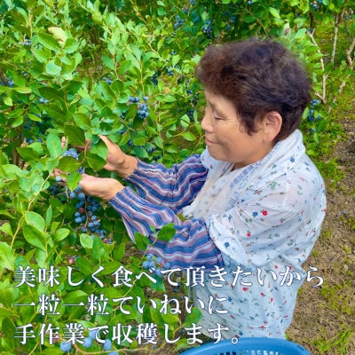 栽培期間中農薬・化学肥料不使用　吉賀町産冷凍ブルーベリー　1kg【配送不可地域：離島】
