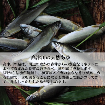 高津川天然あゆ冷凍　500g(吉賀町)【配送不可地域：離島】