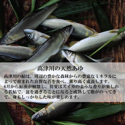 高津川天然あゆ冷凍　1200g(吉賀町)【配送不可地域：離島】