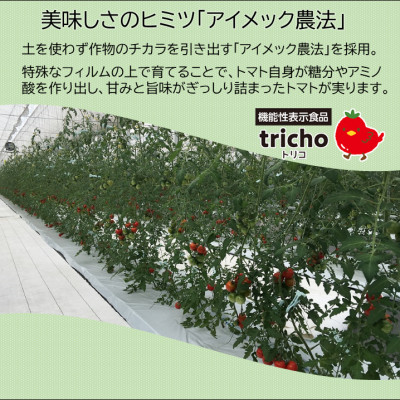 高糖度フルーツトマト「tricho(トリコ)」1.2kg【配送不可地域：離島】