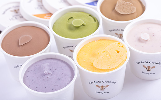 ジャージー牛の生乳を使用したドーム君3個とアイス6種(各1個)セット【配送不可地域：離島】