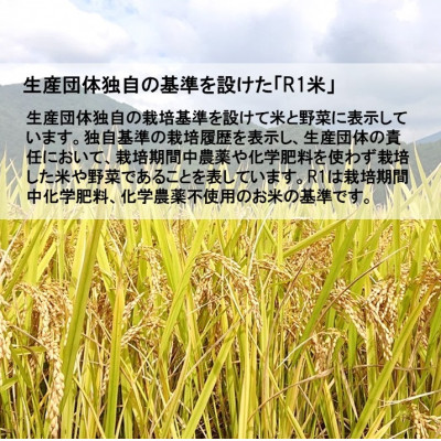 【栽培期間中化学肥料・化学農薬不使用】令和7年産R1米コシヒカリ10kg(玄米)