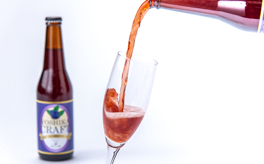 かきのきクラフト　柿木ブルーベリーエール3本セット【配送不可地域：離島】