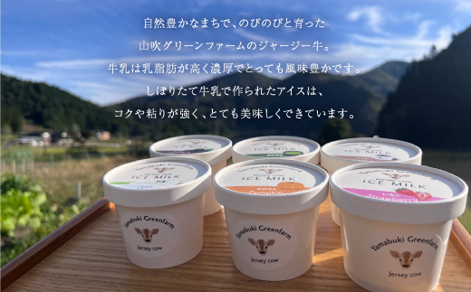 ジャージー牛の生乳を使用したアイス12個セット【配送不可地域：離島】